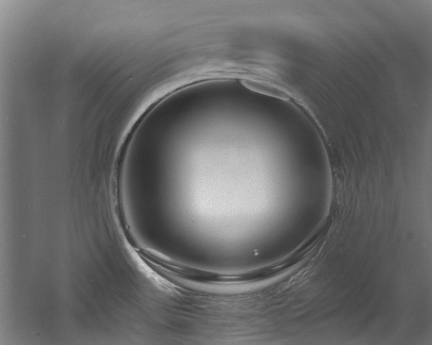 X0000060741531200511101055