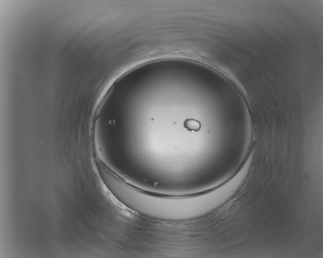 X0000060741532200511101055