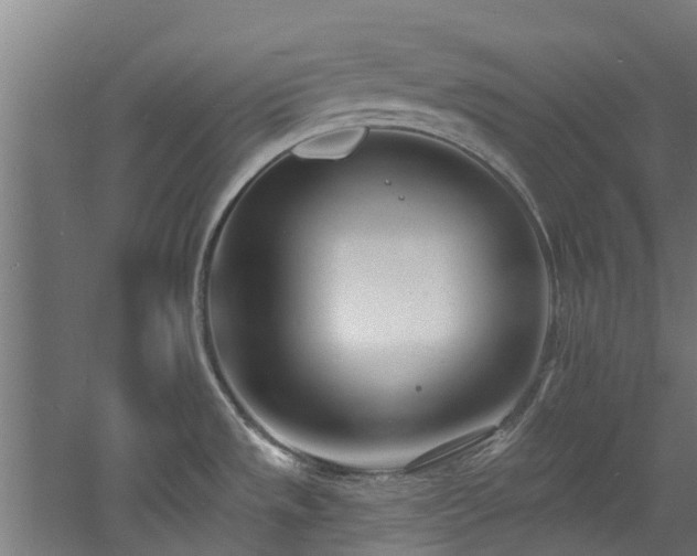 X0000060741533200511101055