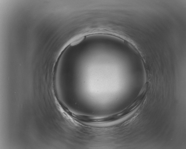 X0000060741534200511101055