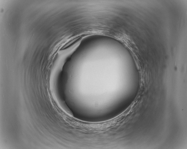 X0000060740001200511141145