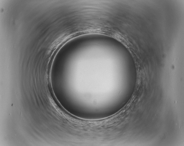 X0000060740002200511141145