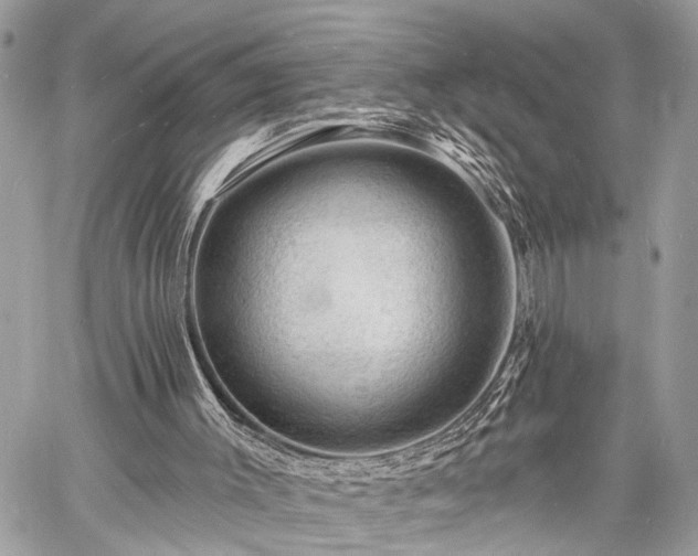 X0000060740003200511141145