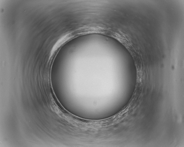 X0000060740004200511141145