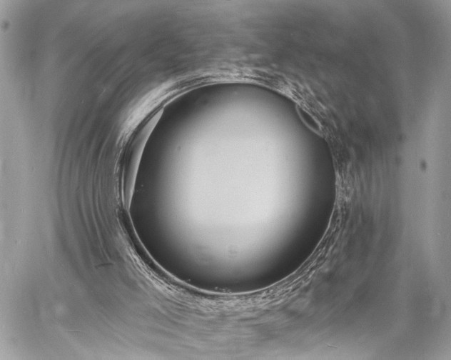 X0000060740005200511141145