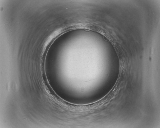 X0000060740006200511141145