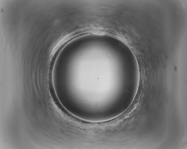 X0000060740007200511141145