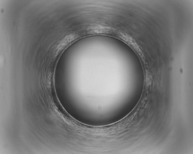 X0000060740010200511141145