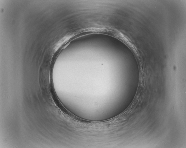 X0000060740011200511141145