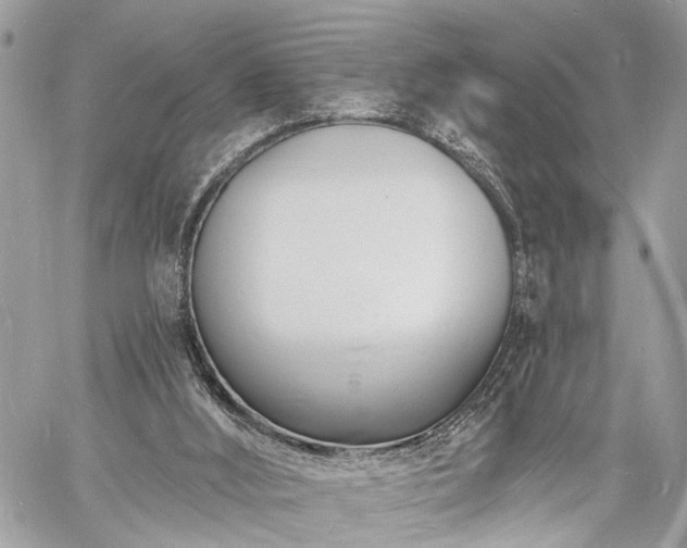 X0000060740012200511141145