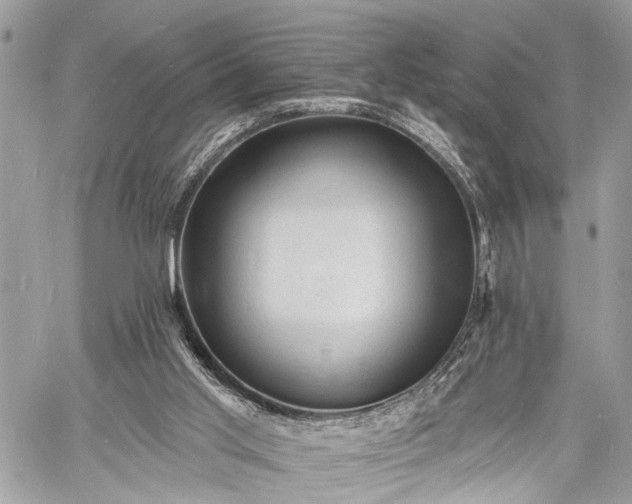 X0000060740013200511141145