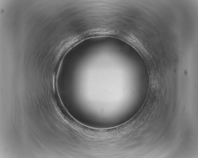 X0000060740014200511141145