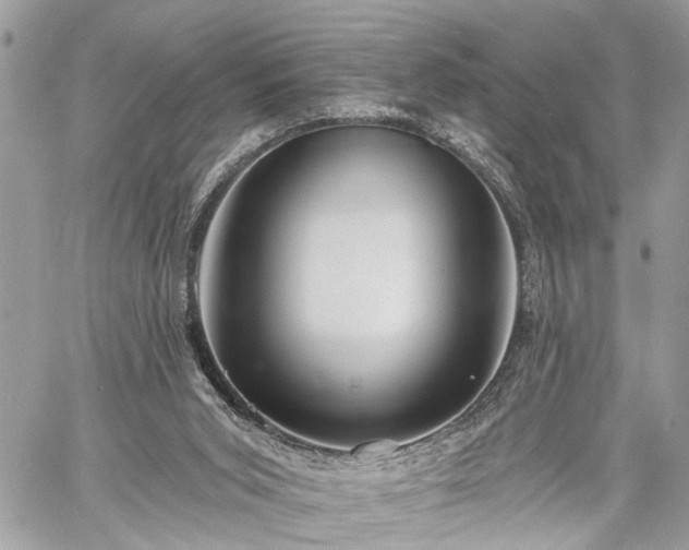 X0000060740015200511141145