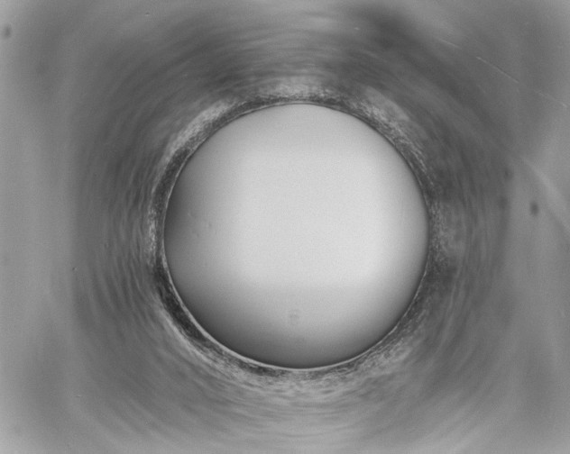 X0000060740016200511141145