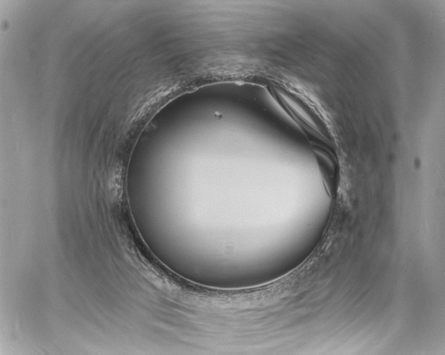 X0000060740017200511141145