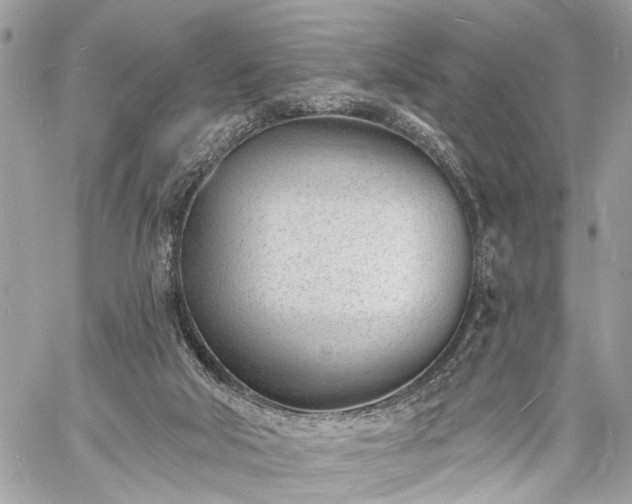 X0000060740018200511141145