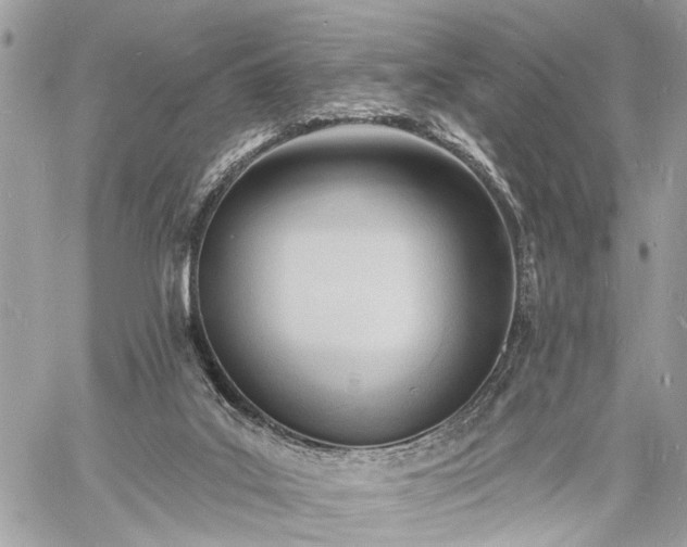 X0000060740019200511141145