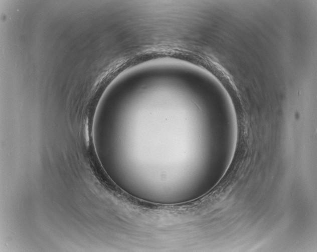 X0000060740020200511141145