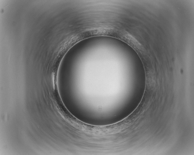 X0000060740022200511141144