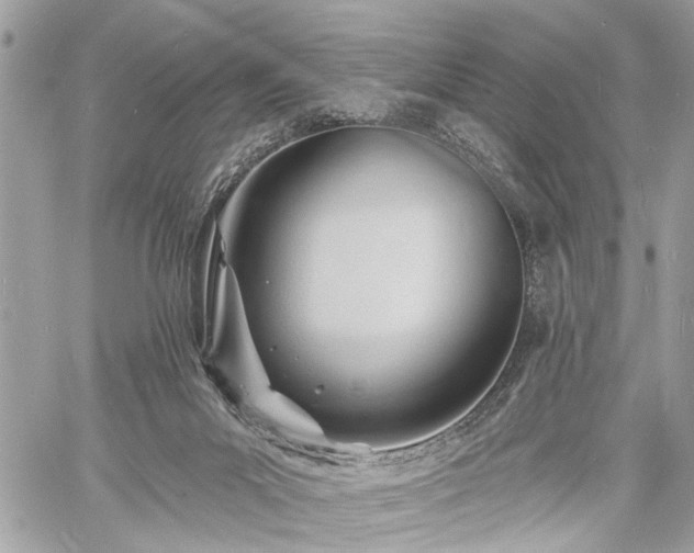 X0000060740023200511141144