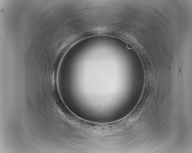 X0000060740024200511141144