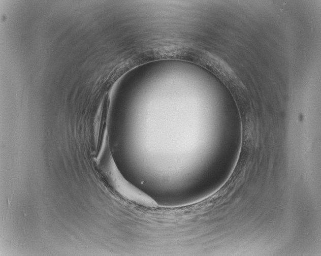 X0000060740025200511141144