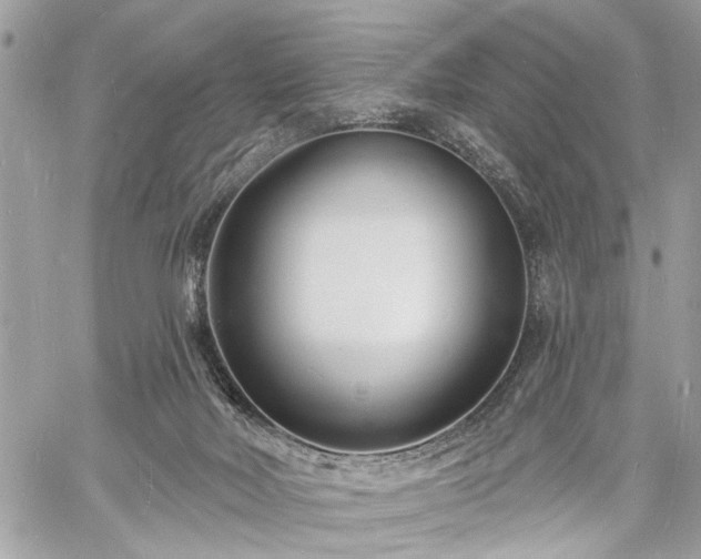 X0000060740026200511141144