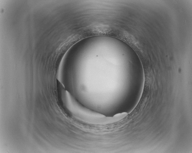 X0000060740027200511141144