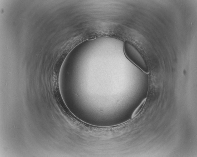 X0000060740029200511141144