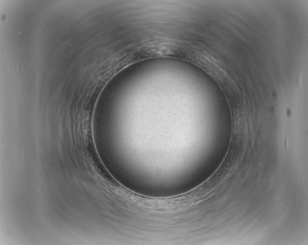 X0000060740030200511141144