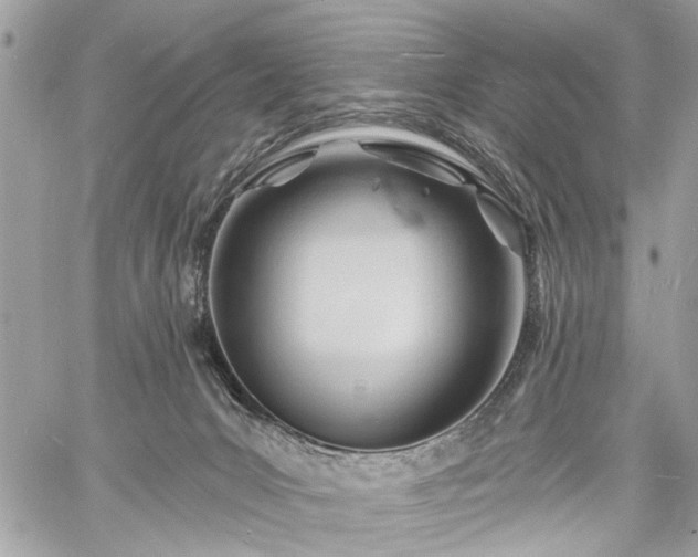 X0000060740031200511141144