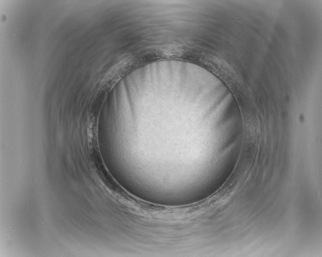 X0000060740032200511141144