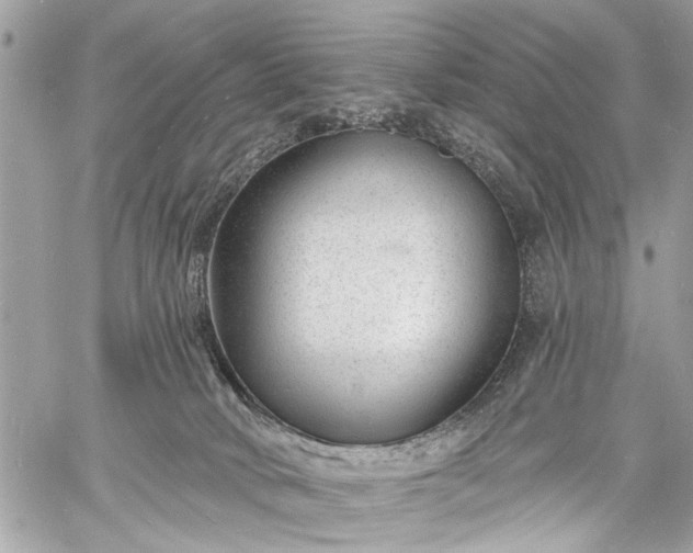 X0000060740034200511141144