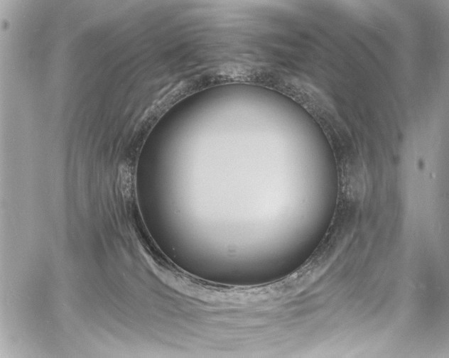 X0000060740036200511141144