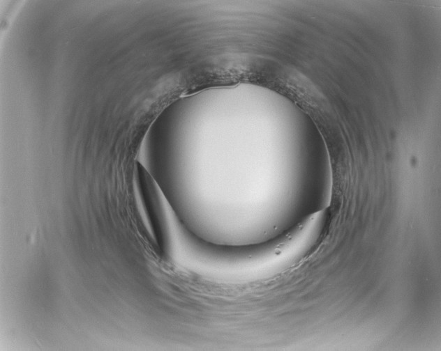 X0000060740037200511141144