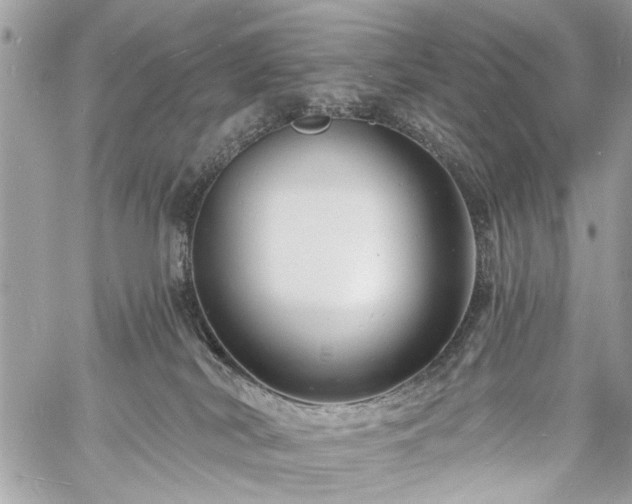 X0000060740038200511141144