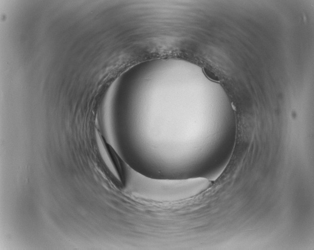 X0000060740039200511141144