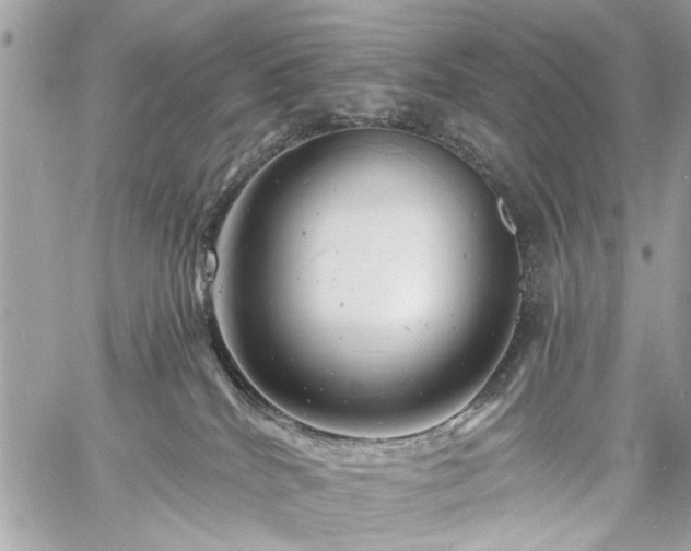 X0000060740040200511141144