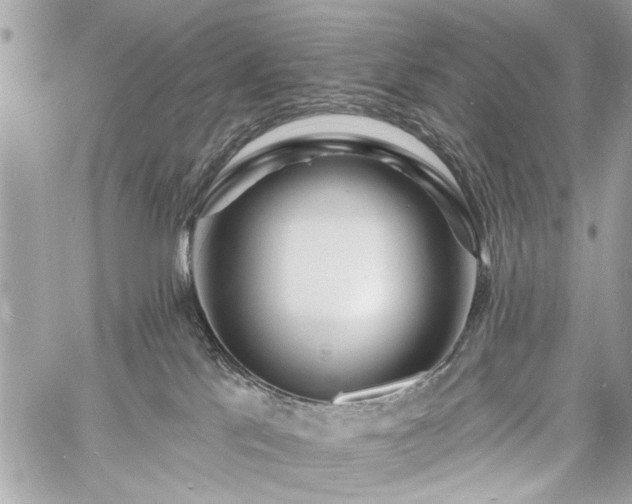 X0000060740041200511141144