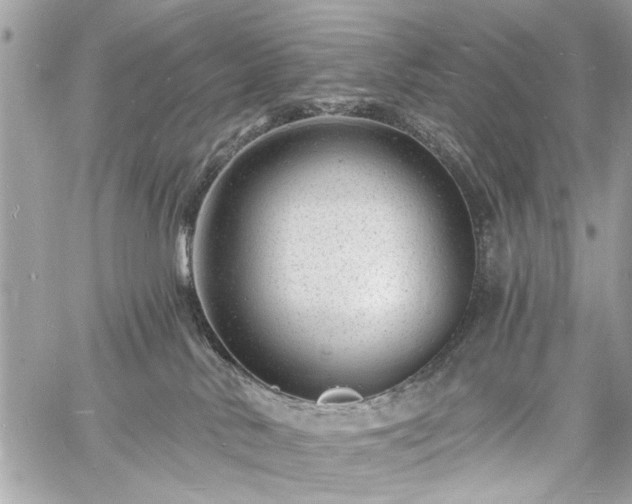 X0000060740042200511141144