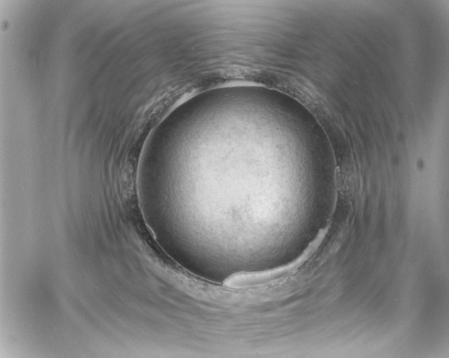 X0000060740043200511141144