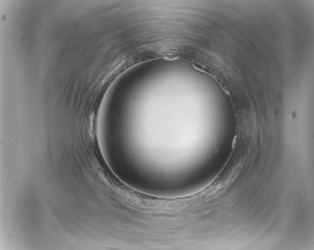 X0000060740044200511141144