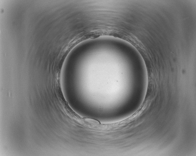 X0000060740045200511141144