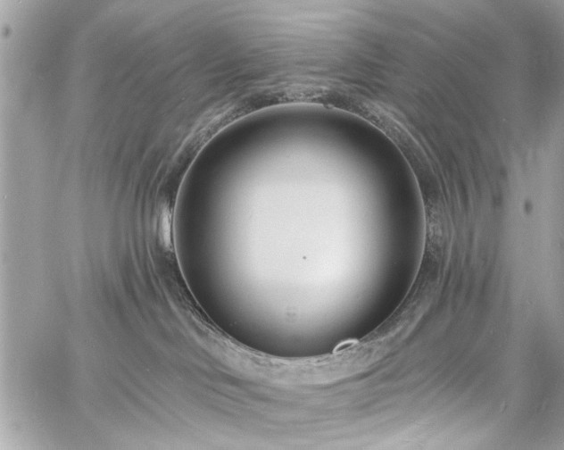 X0000060740046200511141144