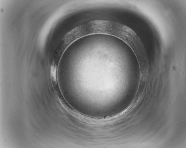 X0000060740047200511141144