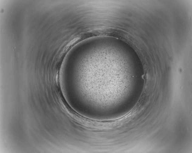 X0000060740048200511141144