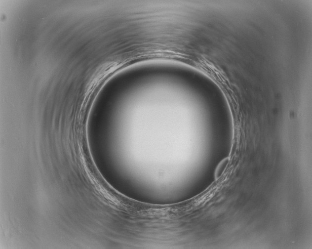 X0000060740049200511141143