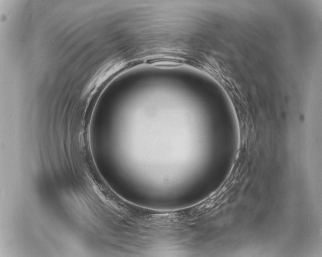 X0000060740050200511141143