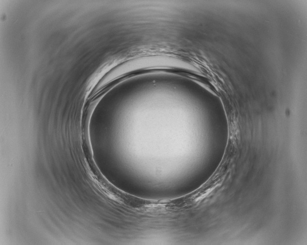 X0000060740052200511141143