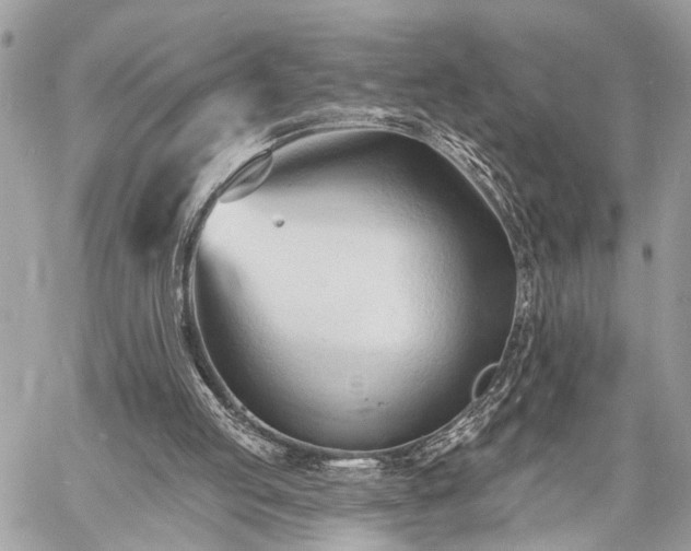 X0000060740053200511141143